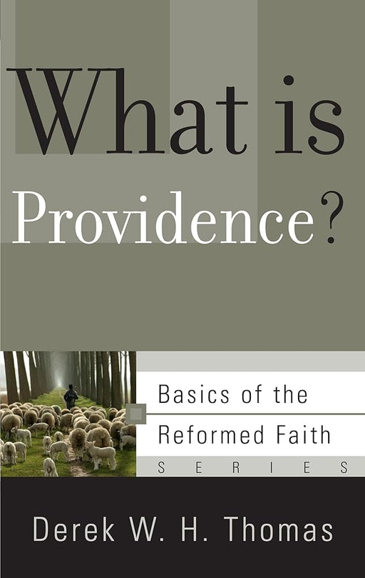 What Is Providence? (Basics of the Reformed Faith) cover image