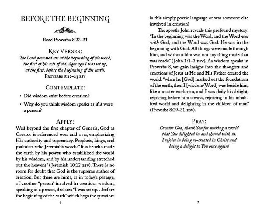 The 5-Minute Bible Study for Men: Seeking God's Wisdom