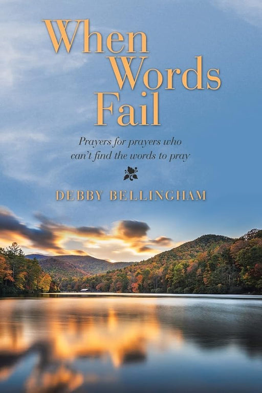 When Words Fail: Prayers for prayers who can’t find the words to pray cover image