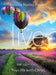 LIVE DVD REBECCA MANLEY PIPPERT - Morning Star Christian Bookstores