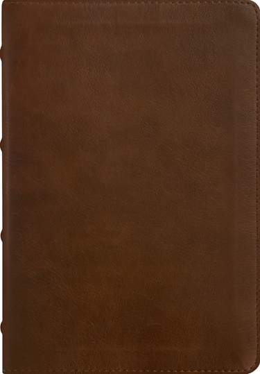 NLT Pastor’s Bible, Filament Enabled, LeatherLike, Brown, Red Letter