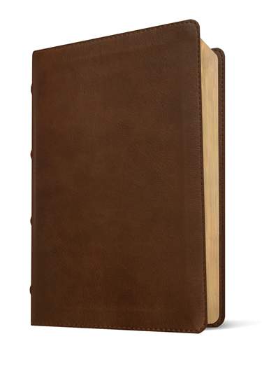 NLT Pastor’s Bible, Filament Enabled, LeatherLike, Brown, Red Letter