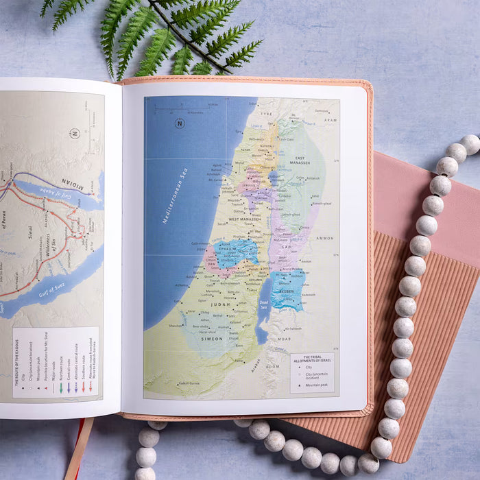 CSB Illustrator’s Notetaking Bible, Large Print Edition, Peach Bouquet LeatherTouch