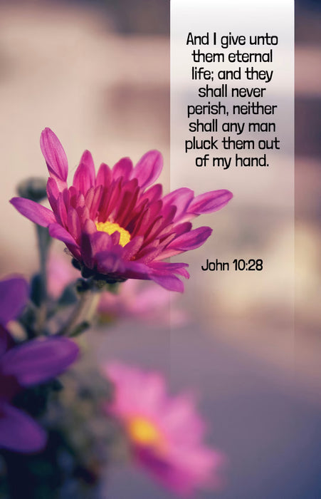 Funeral Bulletin: My Hand (Package of 100): John 10:28 (KJV)