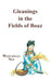 GLEANING IN THE FIELDS OF BOAZ - Morning Star Christian Bookstores
