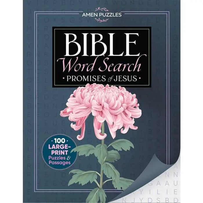 Amen Puzzles Bible Word Search by Jacqui Boone
