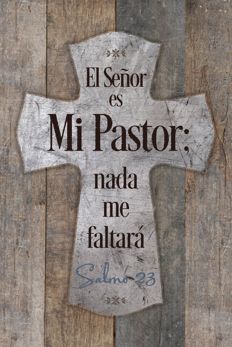 The Lord is My Shepherd Spanish 6x9 Plaque