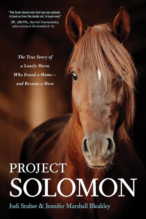 PROJECT SOLOMON - JODI STUBER & JENNIFER MARSHALL BLEAKLEY - Morning Star Christian Bookstores