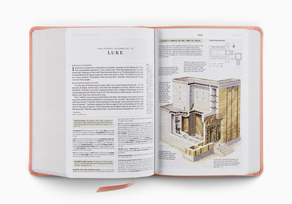 ESV Study Bible, Personal Size TruTone®, Blush Rose, Fleur-de-lis Design