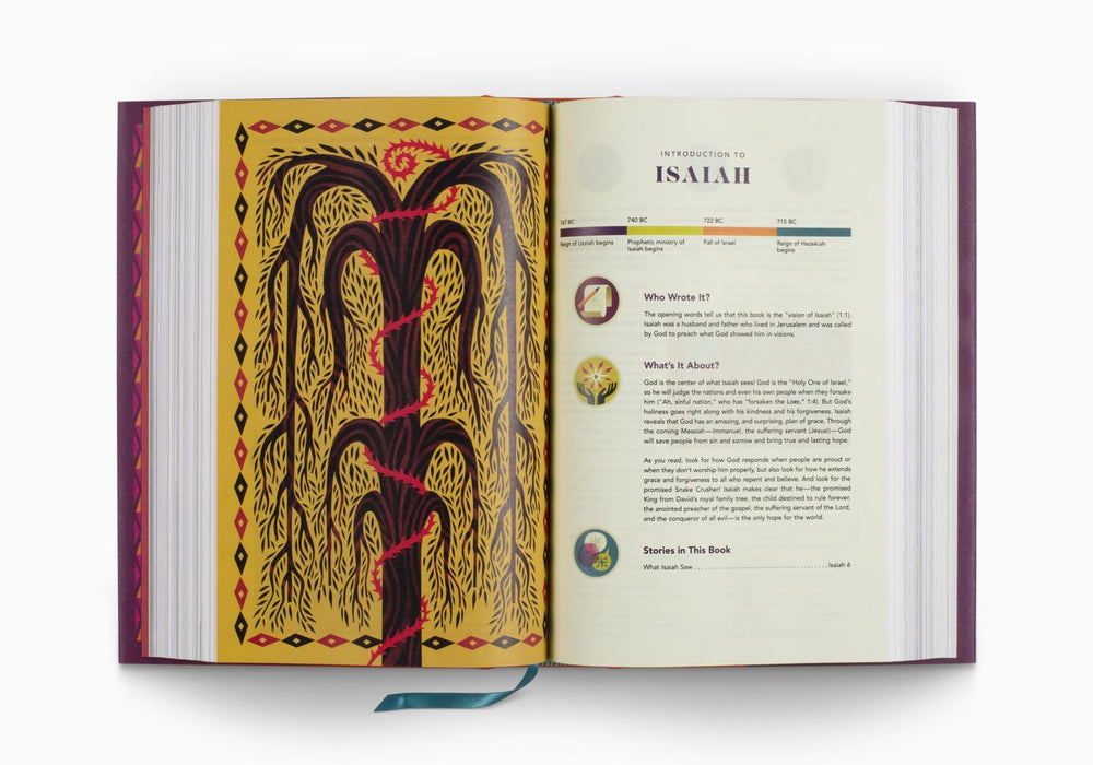 ESV The Biggest Story Holy Bible for Kids, Hardcover