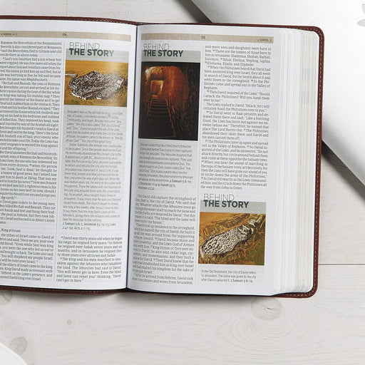 CSB ESSENTIAL TEEN STUDY BIBLE, WALNUT LT - Morning Star Christian Bookstores