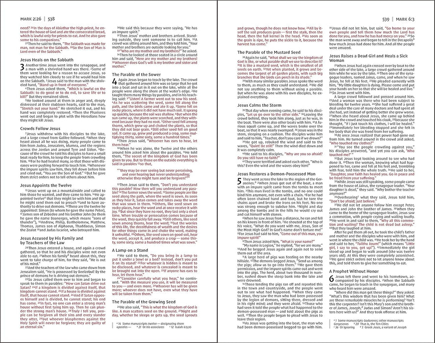 NIV Gift and Award Bible for Kids Prpl Flexcover - Morning Star Christian Bookstores