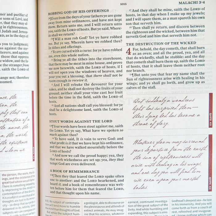 KJV Spurgeon Study Bible, Tan Leathertouch - Morning Star Christian Bookstores