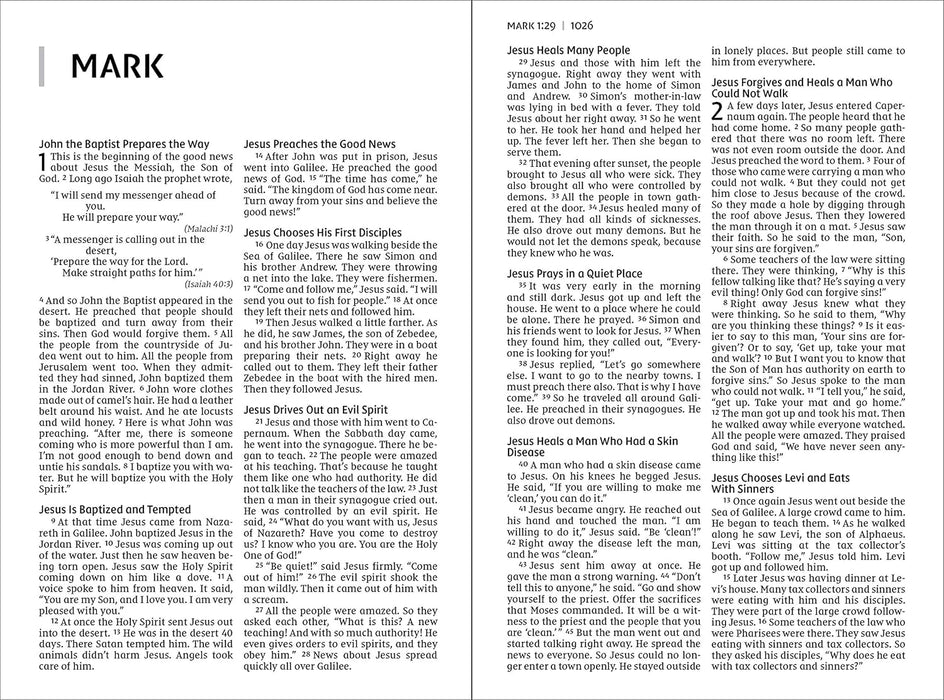 NIrV Bible for Kids Large Print Pink Leathersoft