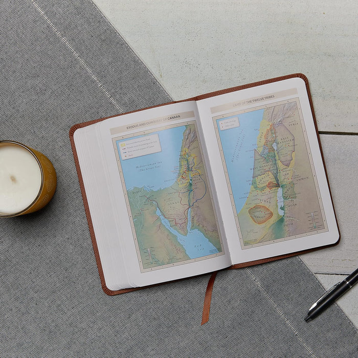 KJV Value Thinline Bible Compact (Brown Leathersoft)