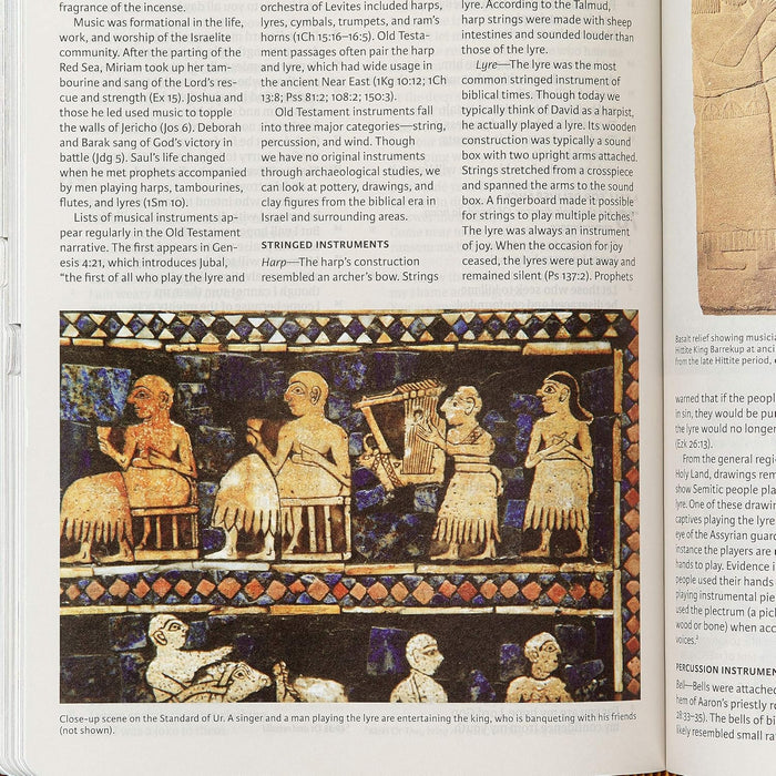 CSB Holy Land Illustrated Bible, Ginger LeatherTouch, Indexed