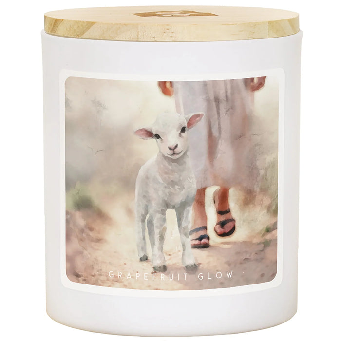 Lamb Walking On Path - Grapefruit Glow - 11oz Soy Candle
