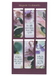 Bloom Like the Flowers Magnetic Bookmark Set - Morning Star Christian Bookstores