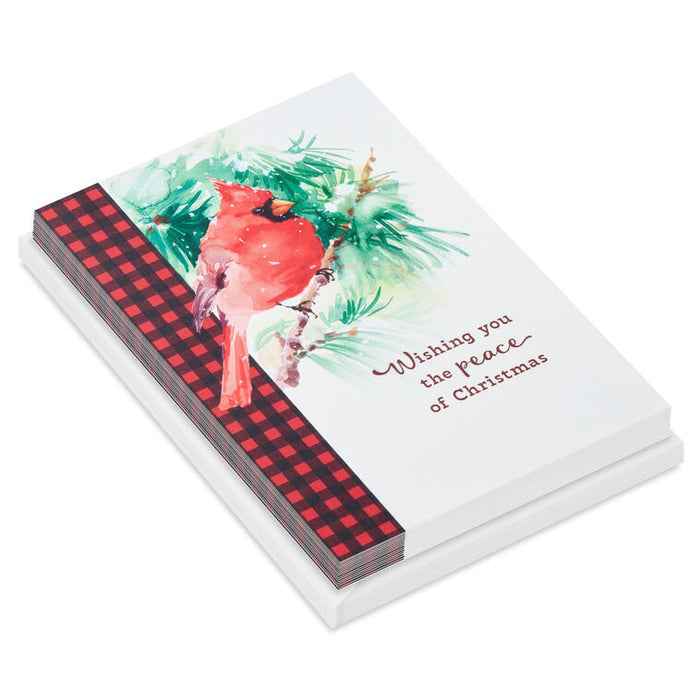 Cardinal on Pine Branch Religious Boxed Christmas Cards, Pack of 16