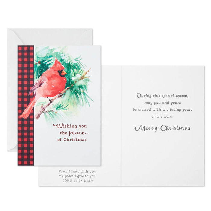Cardinal on Pine Branch Religious Boxed Christmas Cards, Pack of 16