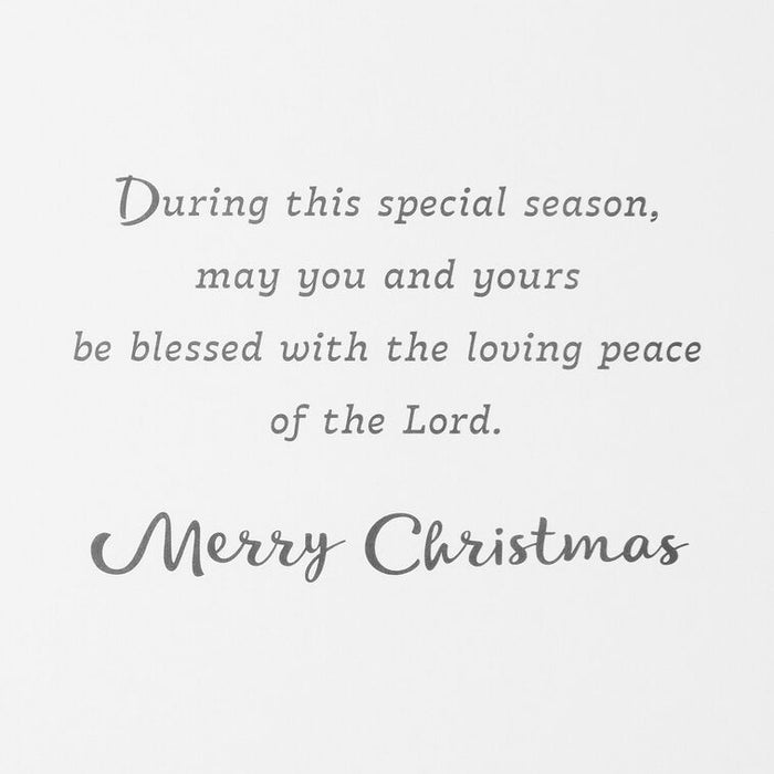 Cardinal on Pine Branch Religious Boxed Christmas Cards, Pack of 16