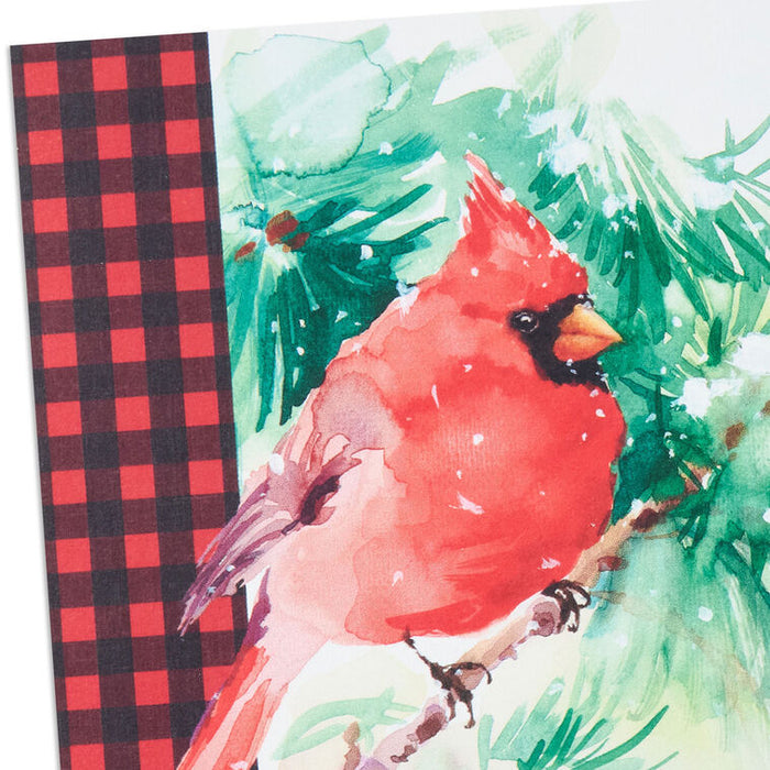Cardinal on Pine Branch Religious Boxed Christmas Cards, Pack of 16