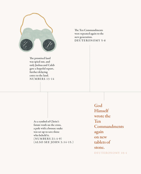 40 Days Through the Bible - Lysa TerKeurst