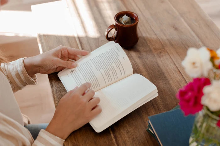 Selah NLT Filament Bible Journal Set