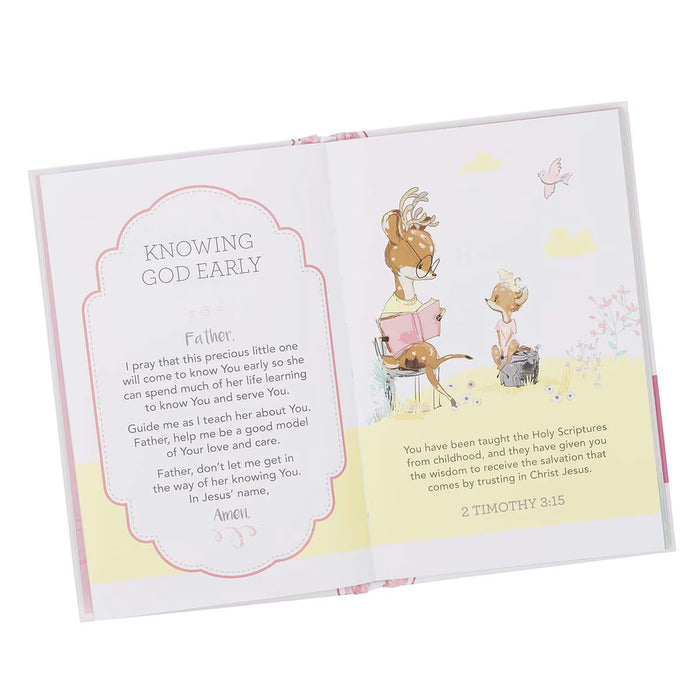Prayers for My Baby Girl Prayer Book-Larsen