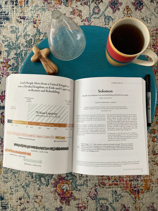 40 Days Through the Bible - Lysa TerKeurst