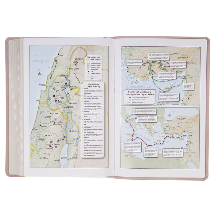 Blush Pink Floral Giant Print Full-size King James Version Bible with Thumb Index