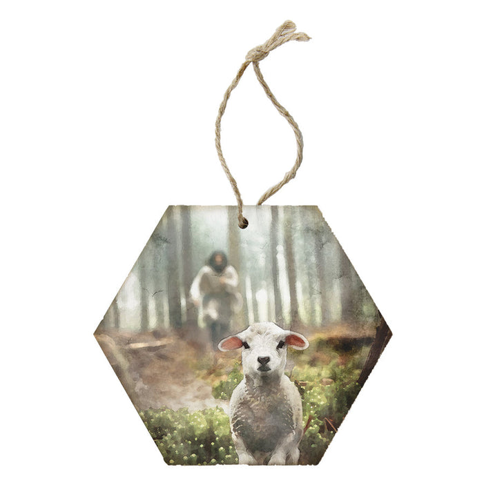Jesus Rescuing Lamb - Hanging Sign - Morning Star Christian Bookstores