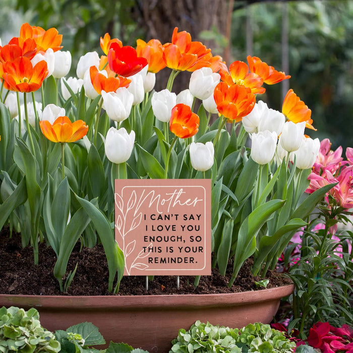 Mother I Cant Say - Planter Thoughts