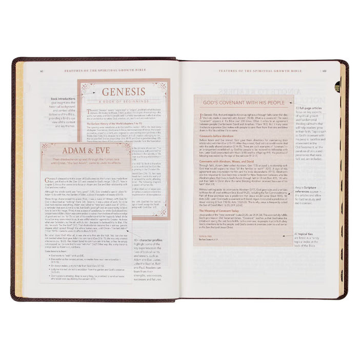 NLT Espresso Brown Faux Leather Spiritual Growth Bible