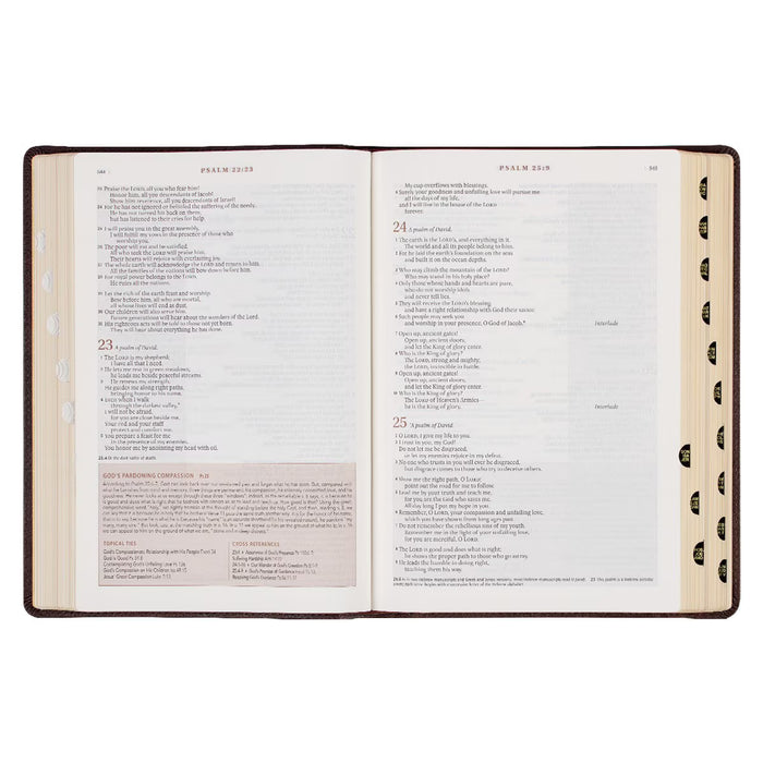 NLT Espresso Brown Faux Leather Spiritual Growth Bible