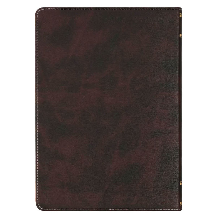 NLT Brown and Blush Pink Faux Leather Spiritual Growth Bible