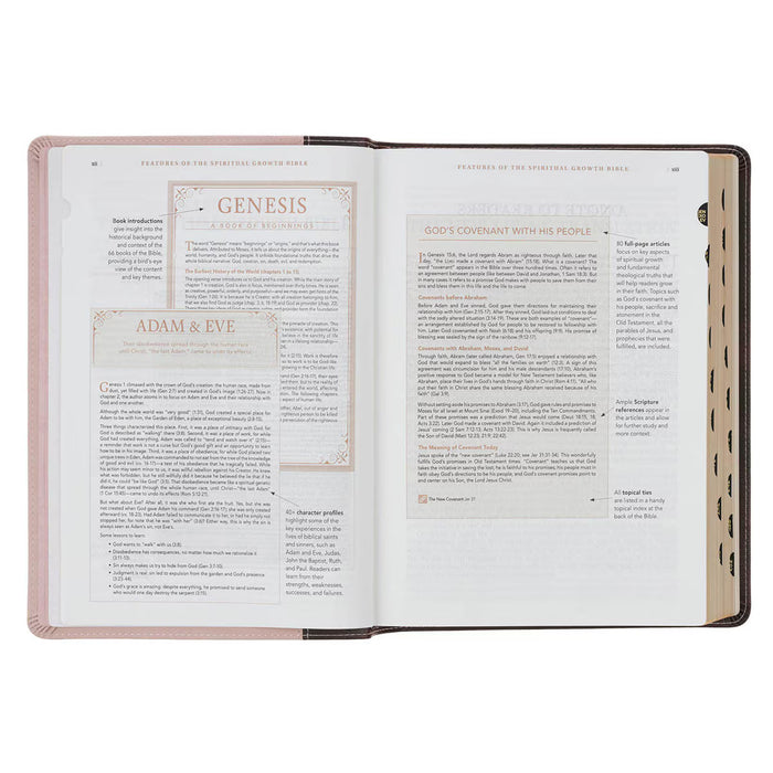 NLT Brown and Blush Pink Faux Leather Spiritual Growth Bible