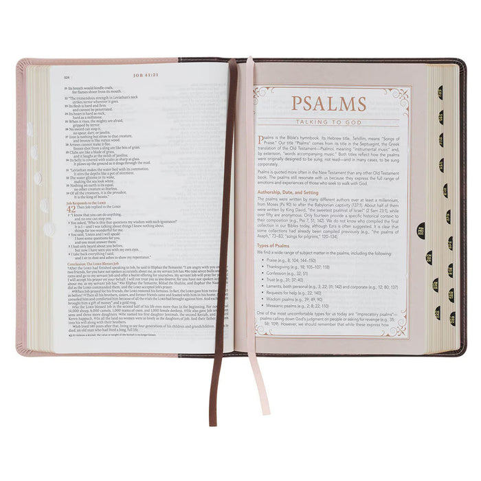NLT Brown and Blush Pink Faux Leather Spiritual Growth Bible