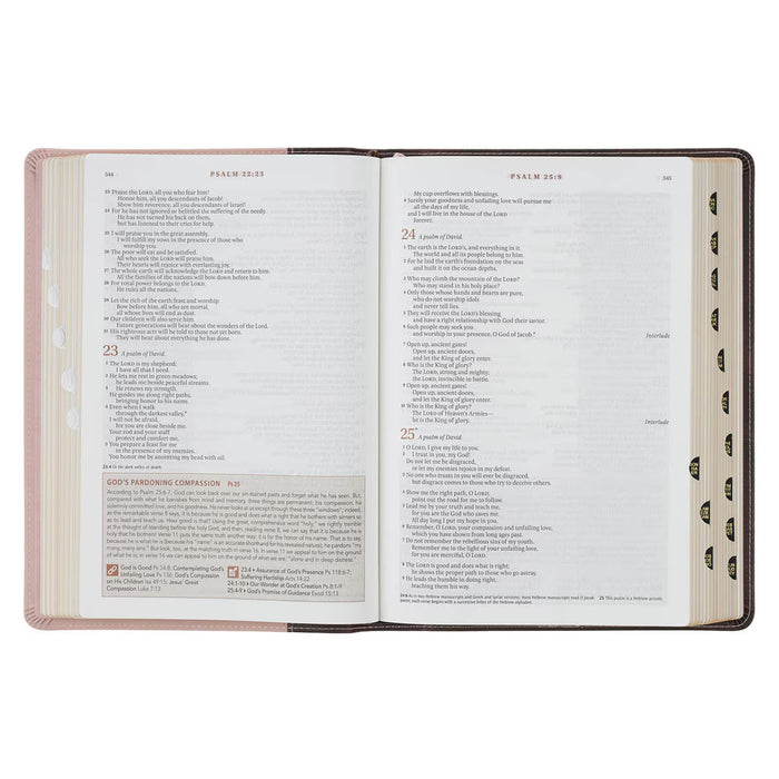 NLT Brown and Blush Pink Faux Leather Spiritual Growth Bible