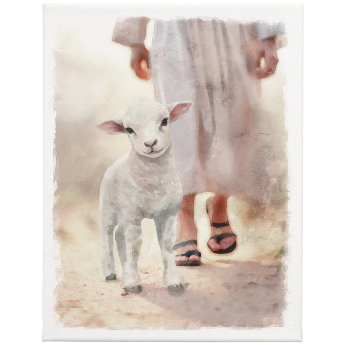 Lamb Walking on Path 9x12 - Wrapped Canvas