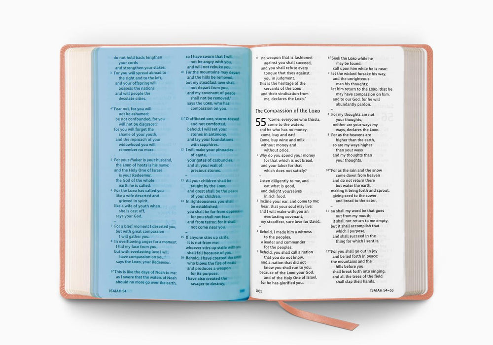 ESV Holy Bible: Dyslexia-Friendly Edition, TruTone, Blush Rose, Fleur-de-lis Design
