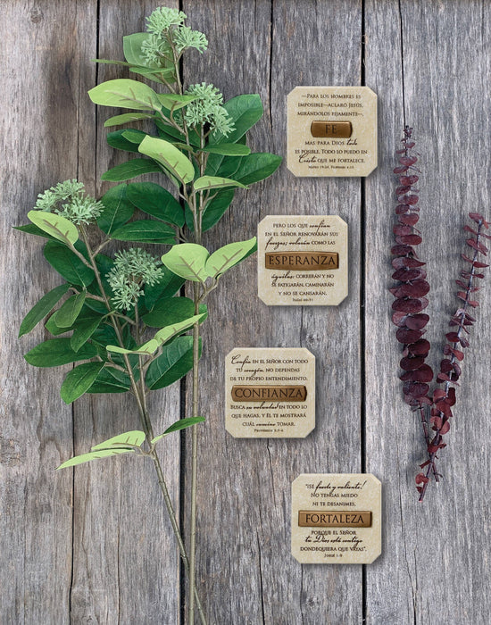 Spanish Plaque Bronze-Finish Title Bar Fortaleza