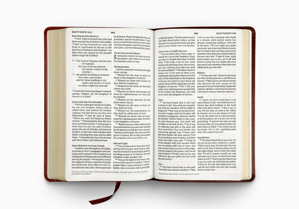 ESV Large Print Thinline Bible TruTone®, Burgundy/Red, Timeless Design