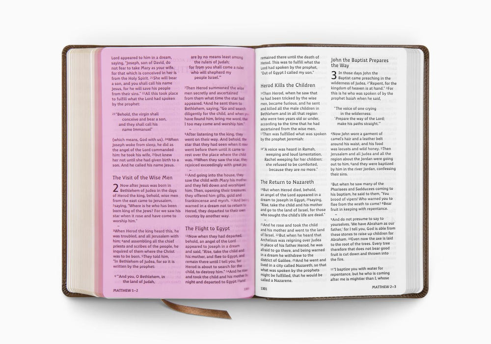 ESV Holy Bible: Dyslexia-Friendly Edition (Trutone, Brown)