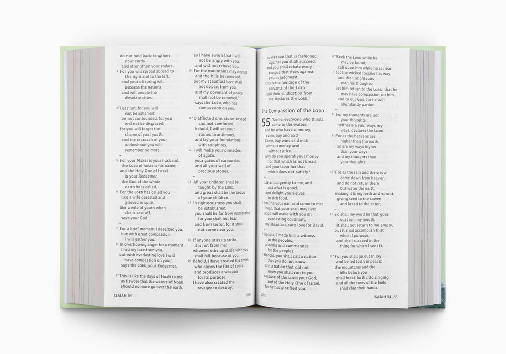 ESV Holy Bible for Kids: Dyslexia-Friendly Edition, Hardcover
