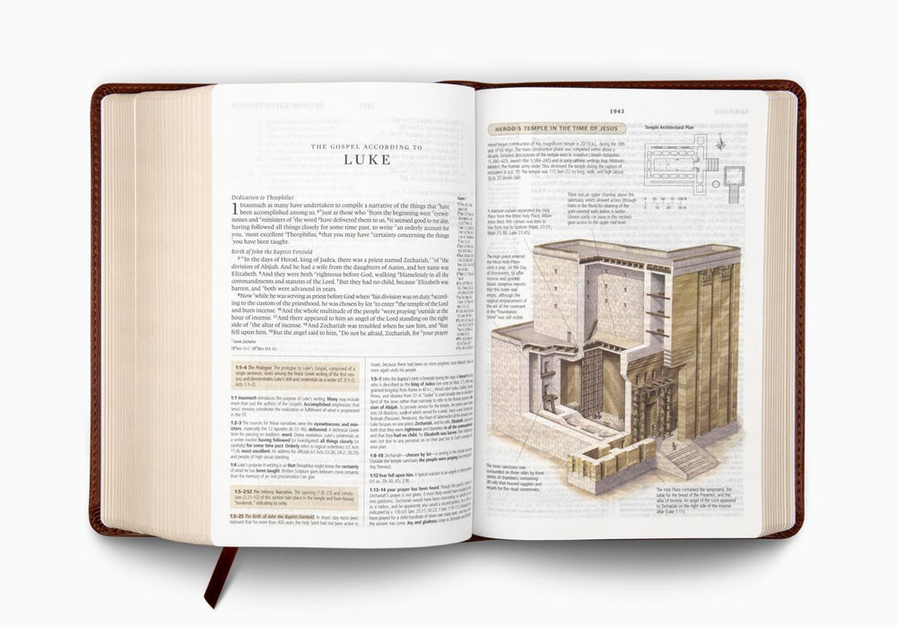 ESV Study Bible, Personal Size, TruTone®, Saddle, Ornament Design