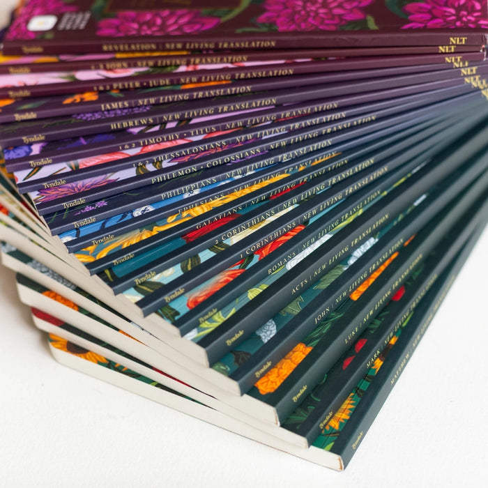 Selah NLT Filament Bible Journal Set