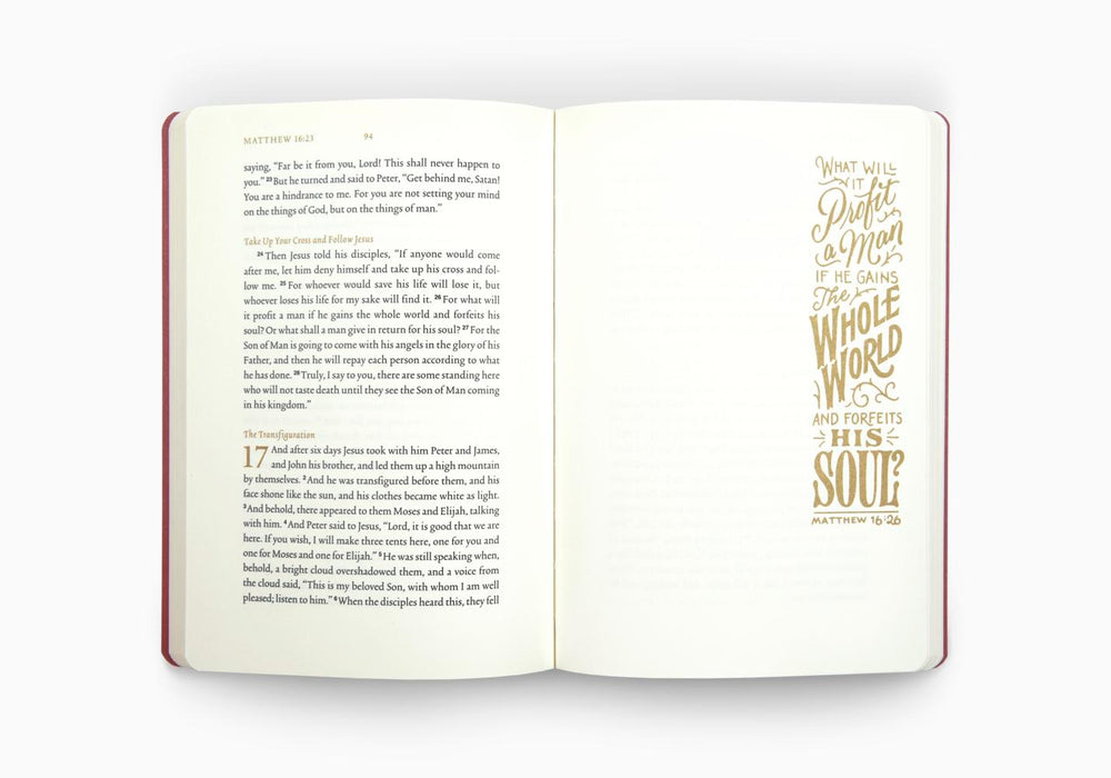 ESV Illuminated Scripture Journal: Matthew