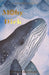Moby Dick | Melville | Wordsworth Classic | Book - Morning Star Christian Bookstores