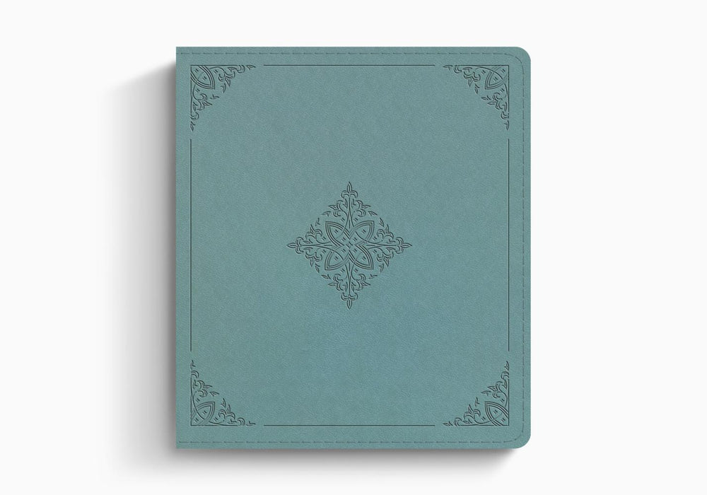 ESV Journaling Study Bible TruTone® over Board, Paris Sky, Fleur-de-lis Design